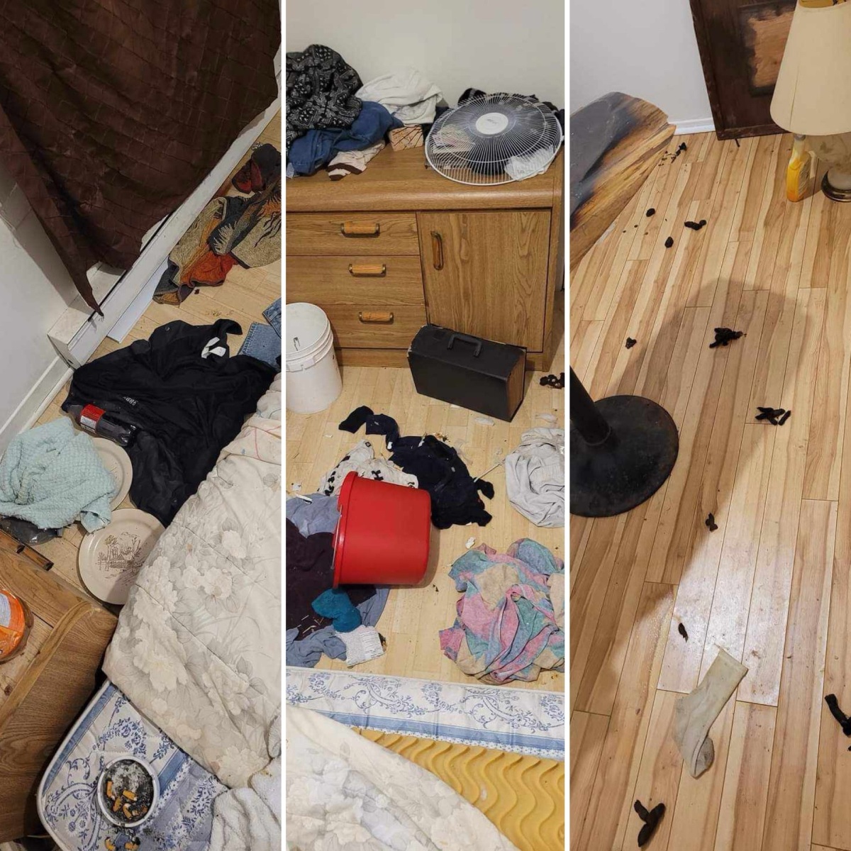 [IMAGES] Un logement est laissé en très mauvais état à Shawinigan